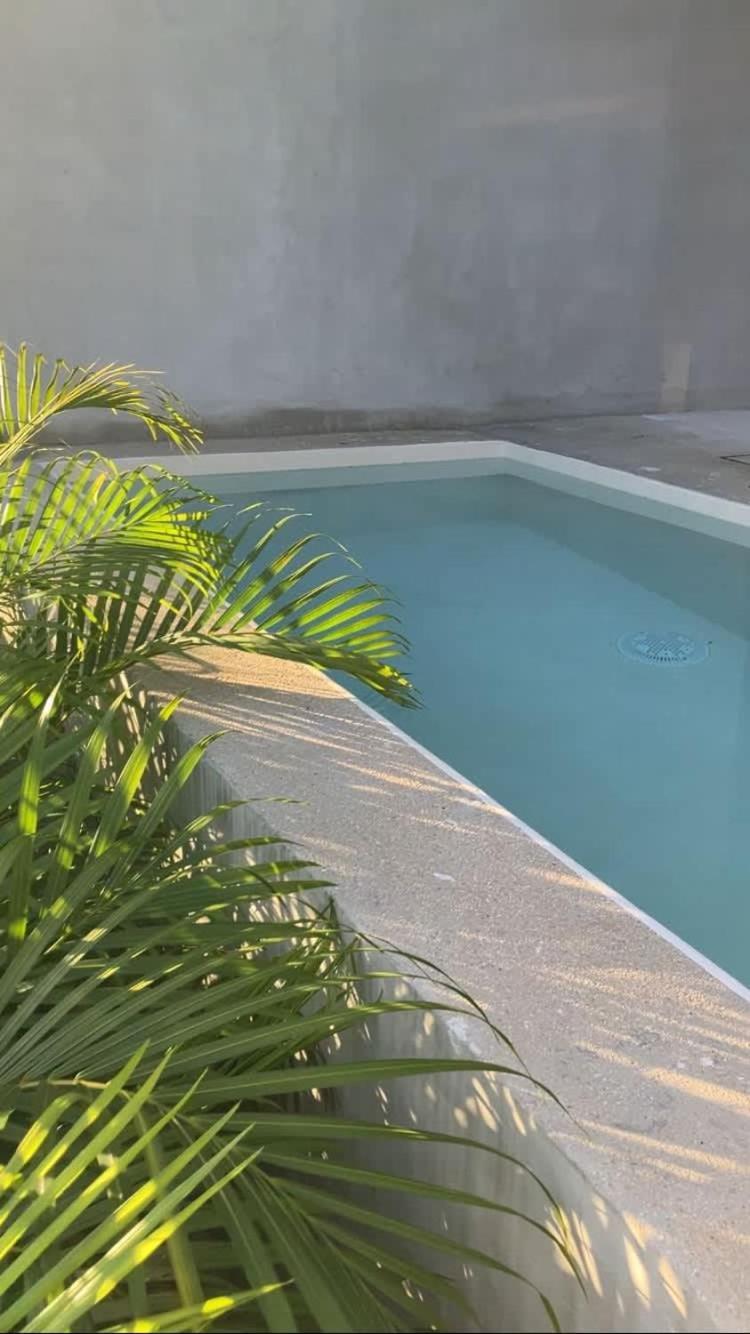 Apartment Seremonia Selva New Near For Couple And 2 Kids Private Pool Free Parking Tulum
