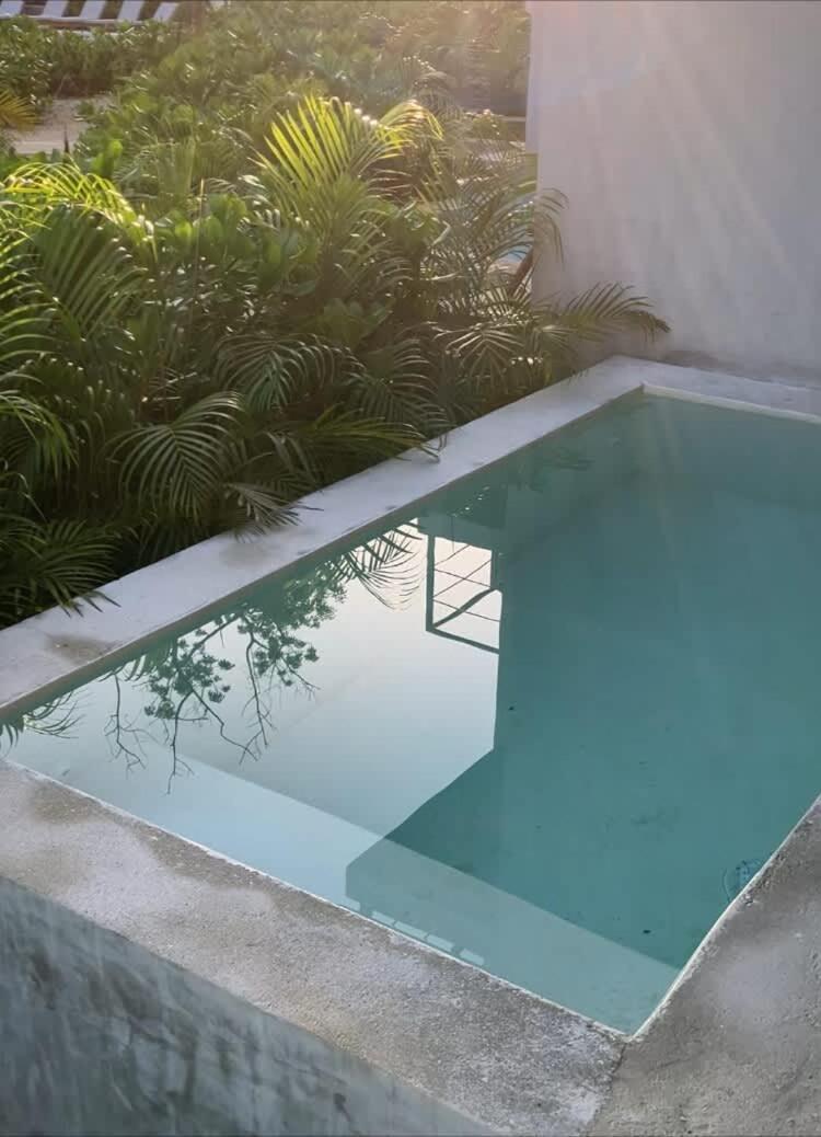 Apartment Seremonia Selva New Near For Couple And 2 Kids Private Pool Free Parking Tulum